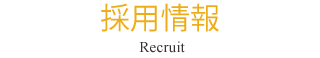 採用情報