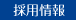 採用情報